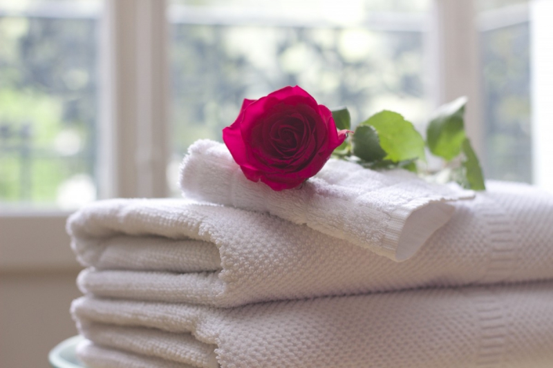 chambre-hote-CARNOULES-min_towel_rose_clean_care_salon_spa_white_bath-731641